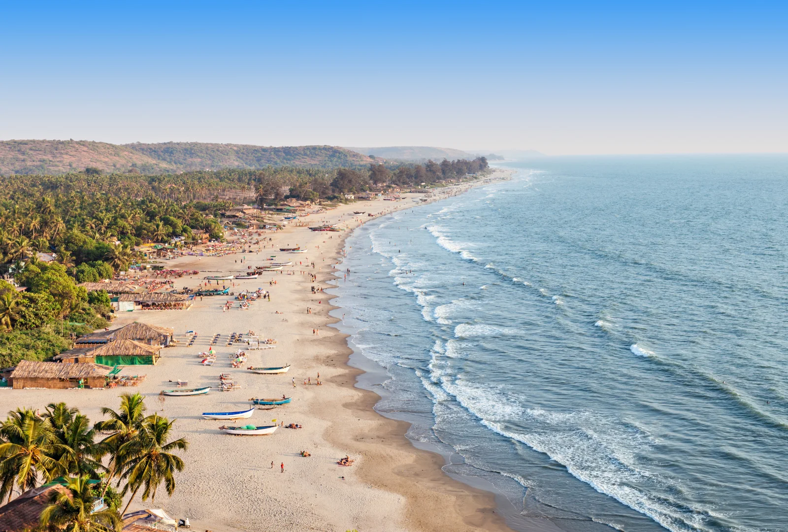 Palm-lined beach in Goa